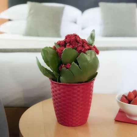 Western Ars Hotel Roma