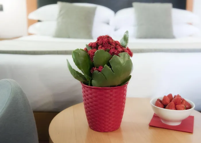 Western Ars Hotel Roma